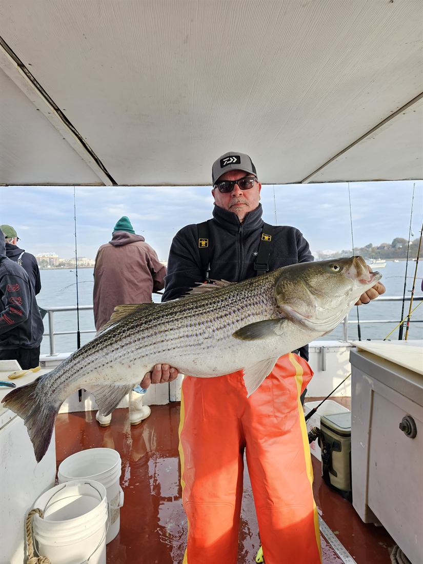 Angler in orange bibs with a striped bass