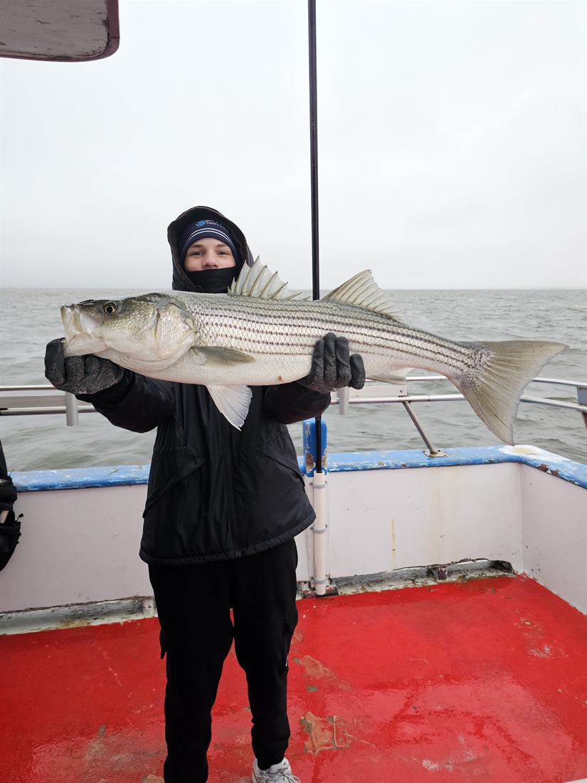 Angler holding a striped bass