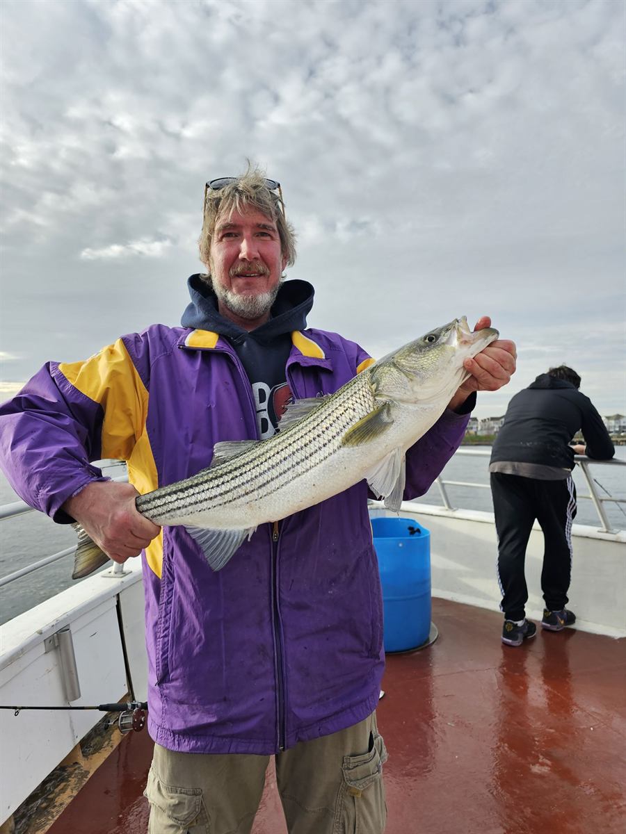 Angler holding a striped bass